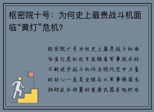 枢密院十号：为何史上最贵战斗机面临“黄灯”危机？