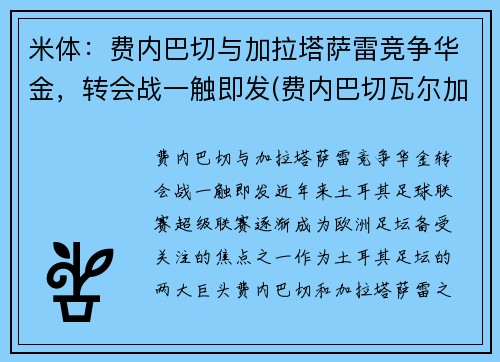 米体：费内巴切与加拉塔萨雷竞争华金，转会战一触即发(费内巴切瓦尔加斯)