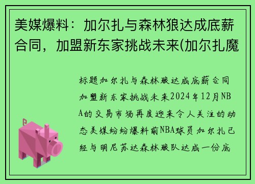 美媒爆料：加尔扎与森林狼达成底薪合同，加盟新东家挑战未来(加尔扎魔进战队)